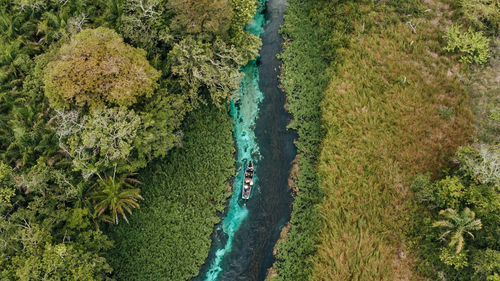 Rio de águas cristalinas em Bonito